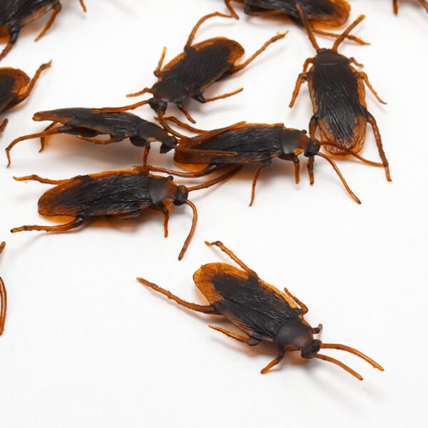 Halloween Simulation Cockroach Tidy Funny Disgusting Scary Toys - Image 6
