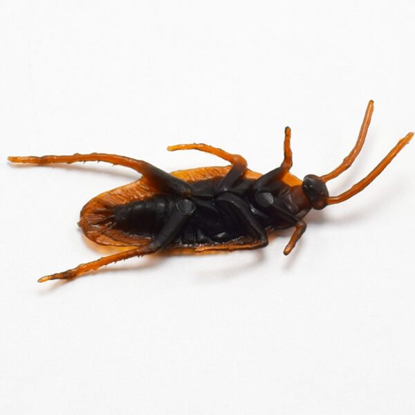 Halloween Simulation Cockroach Tidy Funny Disgusting Scary Toys - Image 5